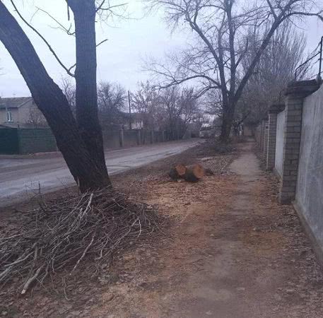 Улице Паровозной в Херсоне "пороблено" - дороги нет, еще и деревья спилили