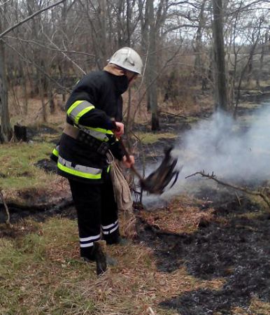 За прошедшие сутки ликвидировано 9 пожаров в экосистемах