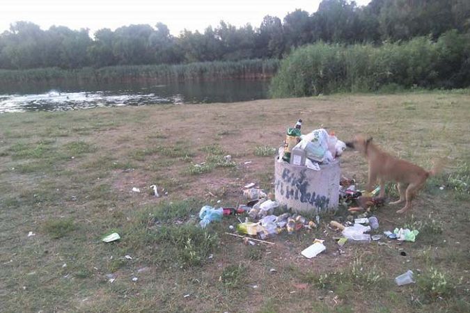 Странности поведения должностных лиц по-олешковски