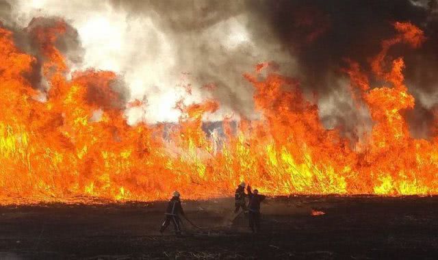 Масштабность мартовских пожаров в экосистемах Херсонщины поражает