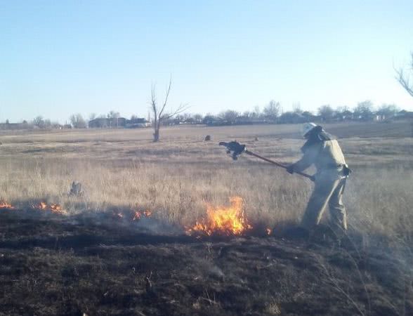 У Нижніх Сірогозах вогнеборці загасили пожежу на відкритій території