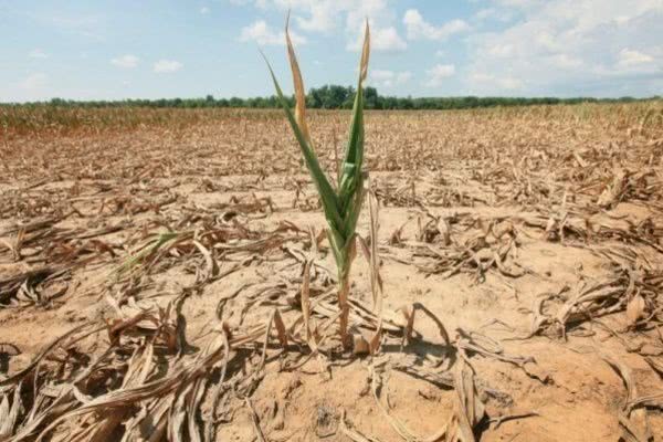 Крым без воды: оккупантам предрекли серьезные проблемы