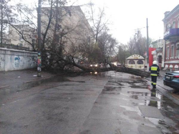 Минулої доби рятувальники прибрали чотири повалених дерева