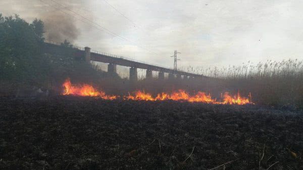 У Херсоні рятувальники ліквідували пожежу очерету