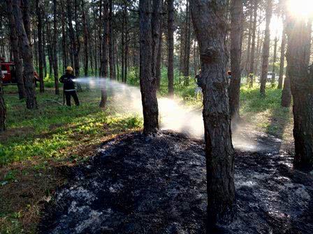 В області за добу 4 рази горіли суха трава та сміття