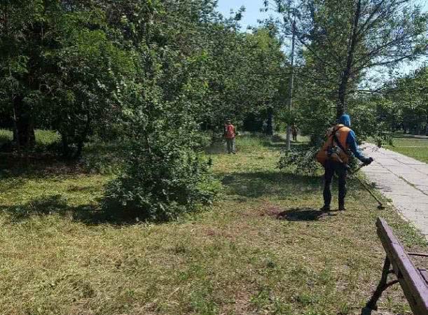 В Херсоне продолжают косить зеленые зоны