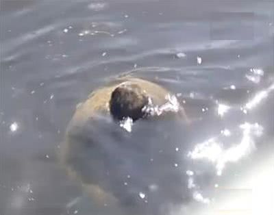 В Белозерском районе мужчина утопил в реке своего знакомого