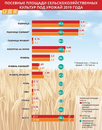 Из-за малых посевов в Украине подорожает гречка и хлеб - фото 2