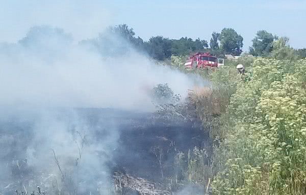 У Нижньосірогозькому районі горіла суха трава