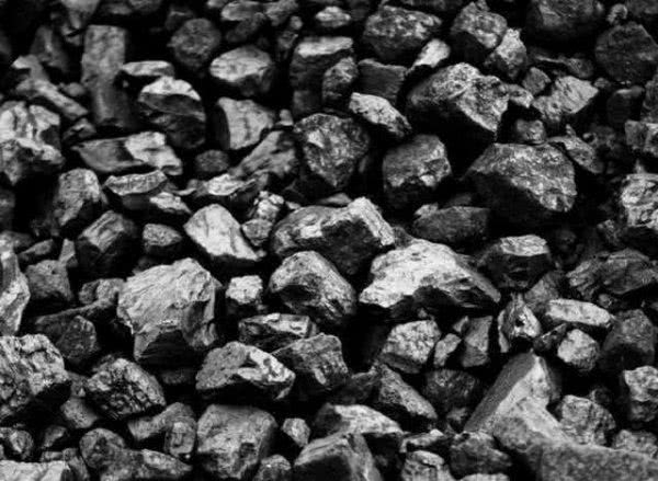 В Голопристанском районе ищут, куда делся уголь для школы