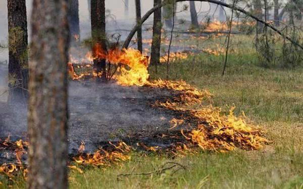 За добу в області 8 разів горіла суха трава