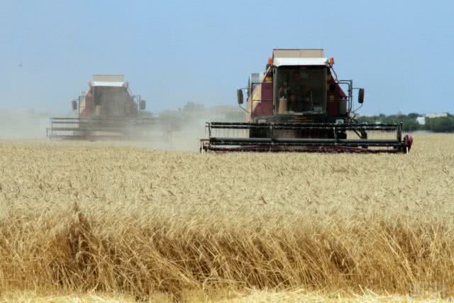 Уже 1,5 млн. тонн зерновых намолотили на Херсонщине
