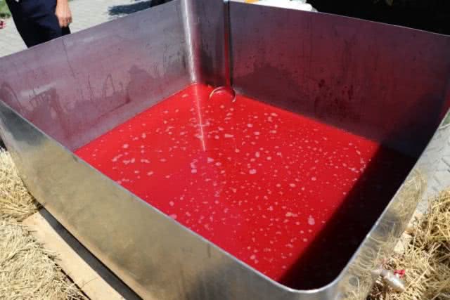 Более 100 литров ягодного морса: на Херсонщине установили национальный кулинарный рекорд