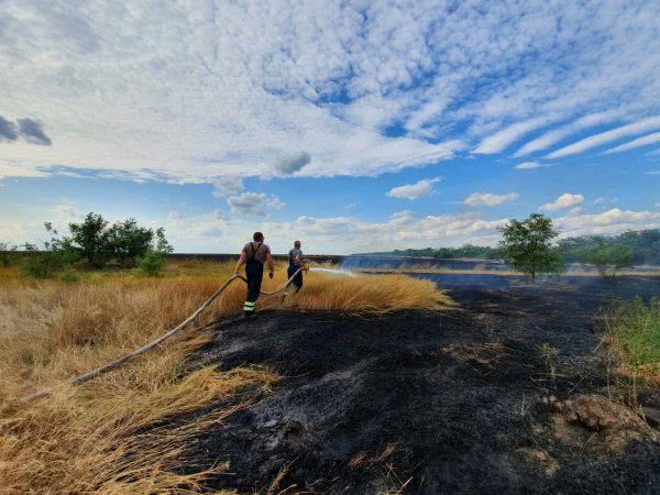 У Каховському районі ліквідовано пожежу сухостою