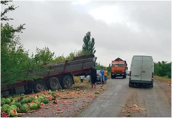 На Херсонщине арбузная катастрофа