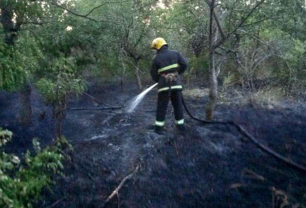 В області за минулу добу 15 разів горіли суха трава, очерет та сміття