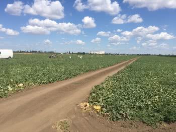 Операція «Урожай» по-генічеськи