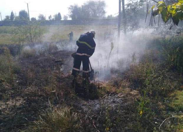 За минувшие сутки по области 20 пожаров в экосистемах