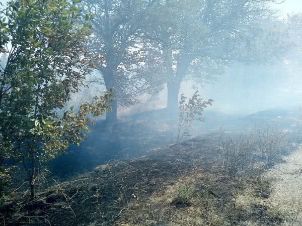 На відкритих територіях Херсонщини горіли суха трава, пожнивні залишки та сміття