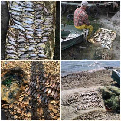В августе Херсонский рыбоохранный патруль разоблачил 181 правонарушение и насчитал более 56 тыс. гривен убытков