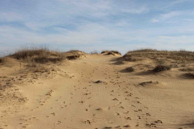 На Херсонщине пройдет ультрамарафонский пробег «WILD desert ultratrail»