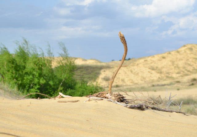Пустеля, озера, вовки і бомби: чому варто побувати в Олешківських пісках?
