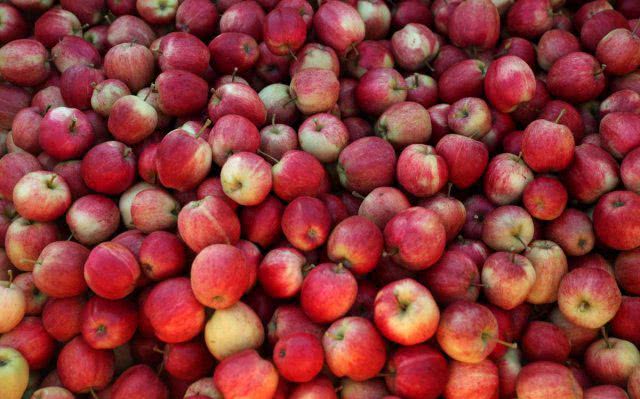 Украинские яблоки в октябре подорожали в 1,5 раза