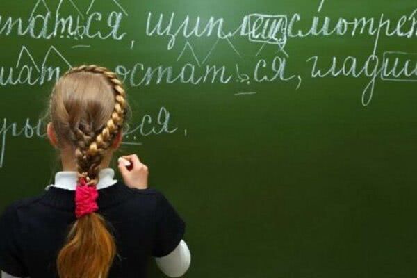 Все перейдут на украинский: Новосад сделала важное заявление о русскоязычных школах