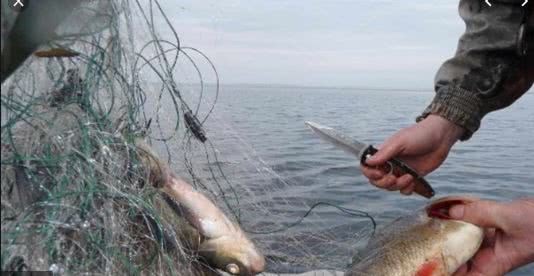 На Херсонщине рыбинспекторы отобрали у браконьеров четыре центнера рыбы