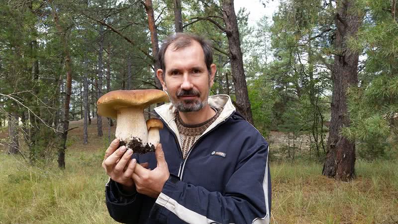 Гигантские грибы на Херсонщине: как не стать жертвой собственной добычи
