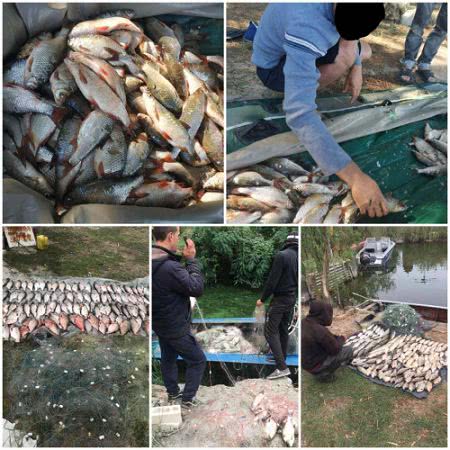 В течение сентября Херсонский рыбоохранный патруль разоблачил 215 правонарушений