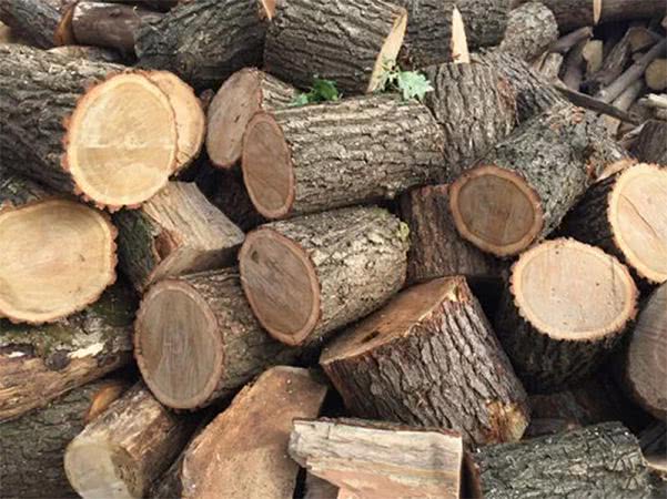 Стоит ли опасаться нехватки дров на Херсонщине