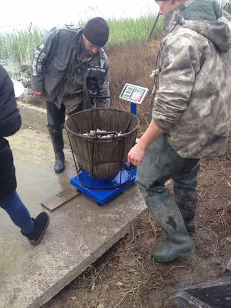 Прошло зарыбление специальных товарных рыбных хозяйств в Каховском водохранилище