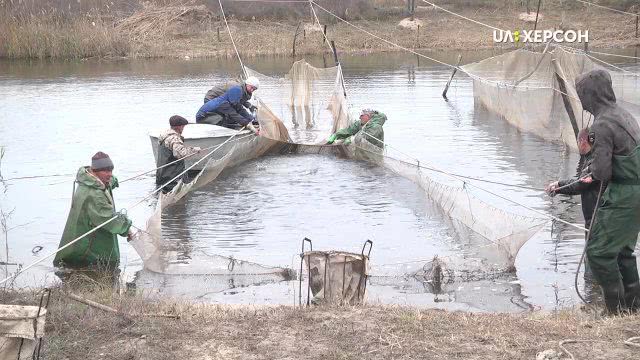 На Херсонщине зарыбливают воды Днепро-Бугского лимана