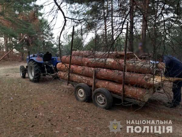 Вчера в двух районах Херсонщины полицейские задержали лесных браконьеров