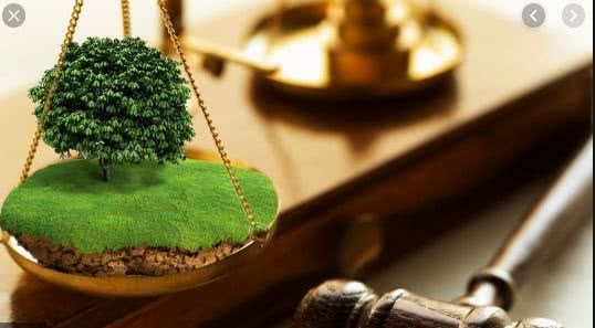 В Каховском районе прокуратура через суд отменяет десять приказов о передаче земли в собственность