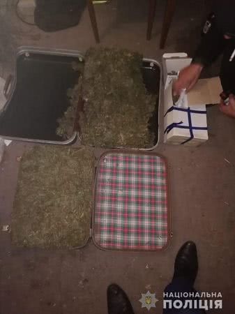 На Херсонщине полицейские, разыскивая угнан мопед, обнаружили 15 кг конопли и пистолет