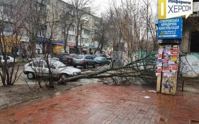 В центре Херсона ветром повалило дерево