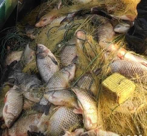 Рыбпатруль Херсонщины задержали браконьера с уловом - 22 кг рыбы
