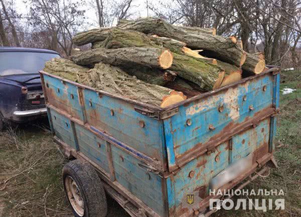 Олешківські поліцейські разом з громадськістю викрили лісових браконьєрів