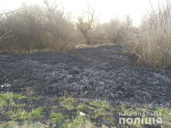 В Олешковском районе задержали поджигателя плавней