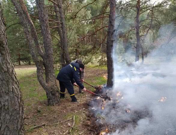 Минулої доби ліквідовано три пожежі у лісових масивах