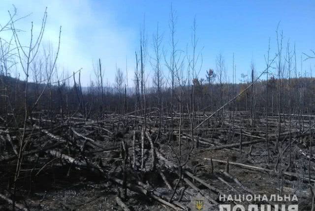 Чернобыльская зона горит третий день, открыто дело