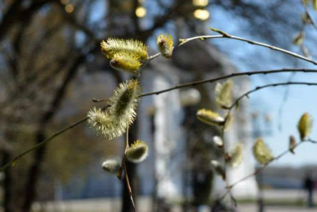 В Украине ударят морозы до минус 8: прогноз погоды на первый день апреля