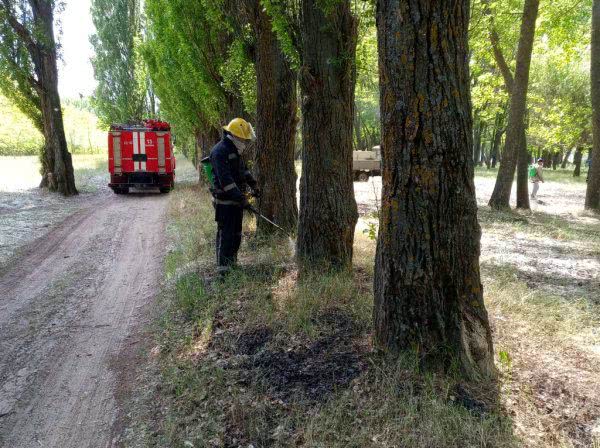 Каховські рятувальники гасили суху підстилку в лісі