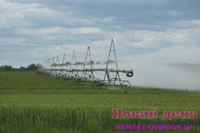 Масштабная кража в поле на Херсонщине