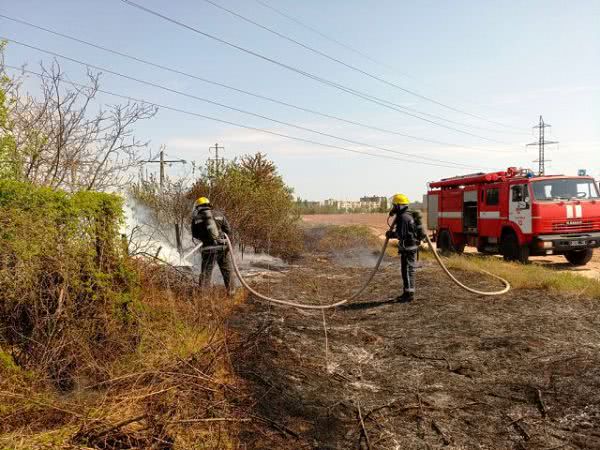 В области ликвидировано 5 пожаров в экосистемах