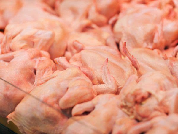 Крупные производители курятины в Украине антибиотики не используют - эксперт