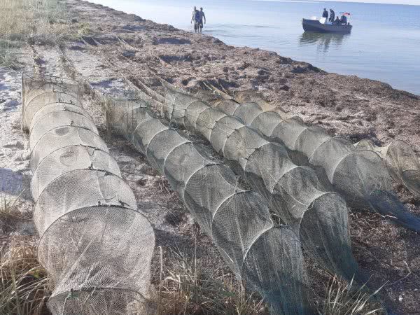 На 100 тысяч гривен наловили браконьеры рыбы и креветок на Херсонщине