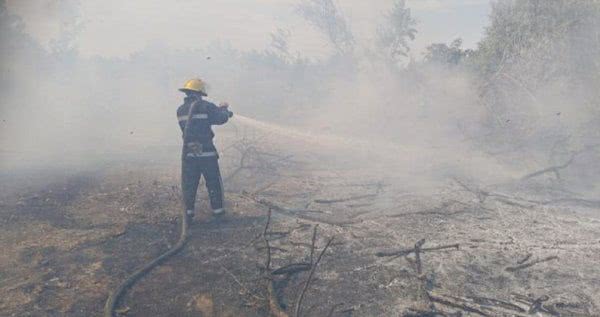 Пожежі на Херсонщині: як працюють рятувальники